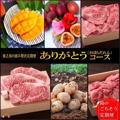 ふるさと納税 徳之島町 徳之島の 旬 定期コース 徳之島ありがとう おぼらだれん コース さとふる 通販 Yahoo ショッピング