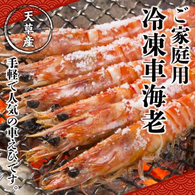 新作販売 ふるさと納税 天草市 ご家庭用冷凍車海老500g S010 060 お得な価格で購入 App Digitallimegreen Co Za