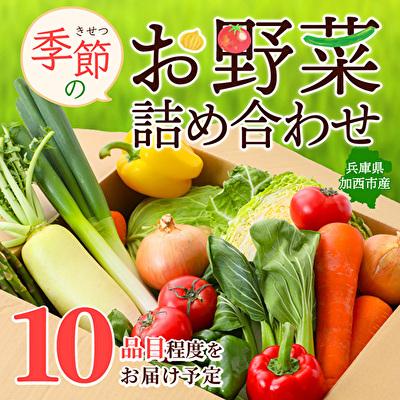 ふるさと納税 加西市 季節の野菜 セット 詰め合わせ 10品程度 野菜 野菜セット 旬の野菜[No5698-0390]