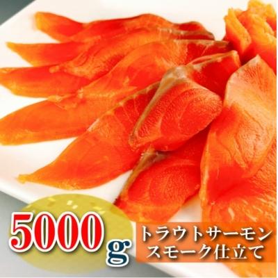 ふるさと納税 根室市 スモークサーモン5kg(小分けブロック真空) D-09016 鮭惣菜、加工品
