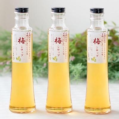 枕崎市 ふるさと納税 敬老の日 ふかざわ農園の梅シロップ 0ml 3瓶 手づくり ギフト 5 さとふる 通販 Yahoo ショッピング