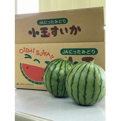 秀逸 ふるさと納税 みどり市 小玉すいか5玉 102 激安 激安特価 送料無料