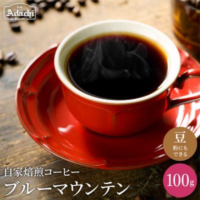 ふるさと納税 関市 カフェ・アダチ ブルーマウンテン 100g(10杯分) S10-30