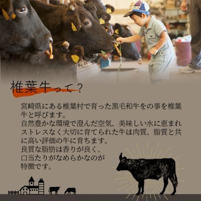 ふるさと納税 椎葉村 宮崎県産 椎葉牛 ももスライス【500g】｜y-sf｜02