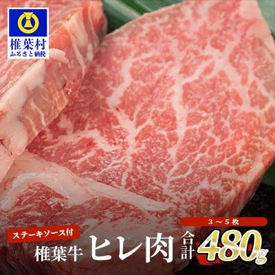 ふるさと納税 椎葉村 宮崎県産 椎葉牛 ヒレ肉 [480g]お試しステーキソース付き