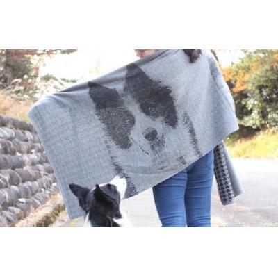 今季注目  【3071849】 限定デザイン
