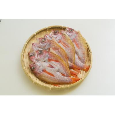ふるさと納税 浜田市 特大のどぐろ【大秀商店の一夜干し】【118】|y-sf|02