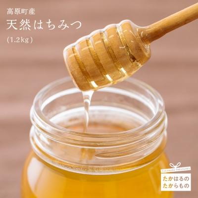 ふるさと納税 高原町 高原町産天然はちみつ(1.2kg)