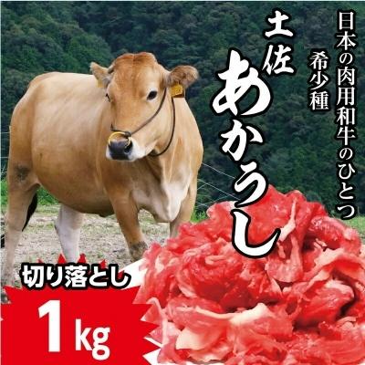 ふるさと納税 田野町 「土佐あかうし」切り落とし 1kg