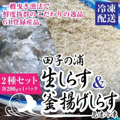 3600円 愛用 ふるさと納税 富士市 一艘曳き漁法 田子の浦 漁港直送生しらす獲れたて急速冷凍0gamp 釜揚げしらす 1555
