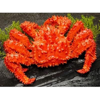 憧れ ふるさと納税 浜茹で 花咲ガニ 釧路産 500g前後 2尾 To101 J001 漁協厳選旬の味シリーズ 釧路市 ふるさと納税 その他カニ 釧路市 カニ Www Construction Gouv Cg