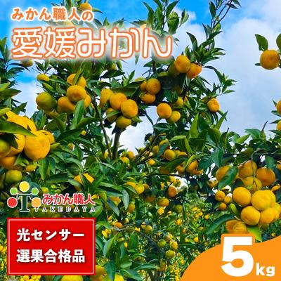 ふるさと納税 愛南町 【高評価★4.4】 訳あり 愛媛みかん 5kg みかん職人武田屋 | 