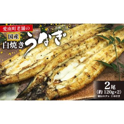 ふるさと納税 愛南町 老舗亀一の手焼きうなぎ 白焼 (約120g×2本) 鰻 ウナギ お食事処亀一 愛媛県 愛南町