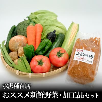 ふるさと納税 石巻市 水沢種苗店おススメ新鮮野菜・加工品セット