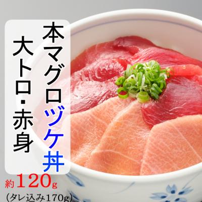 ふるさと納税 室戸市 初音の本マグロ(赤身・大トロ)漬け丼