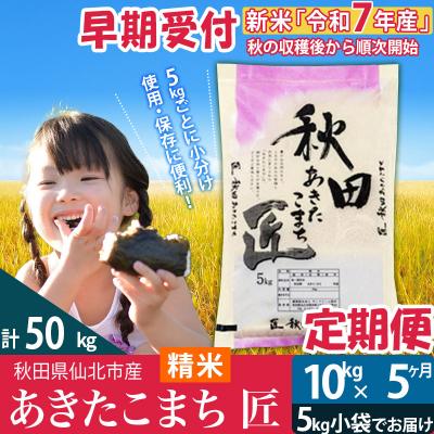 ふるさと納税 仙北市 [白米]令和6年産 新米早期受付[定期便5ヶ月]あきたこまち10kg|02_snk-010605s