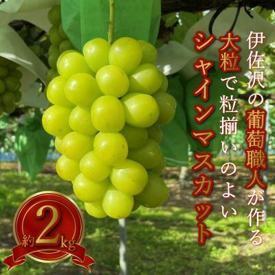 ふるさと納税 長井市 R5年9 10月発送分先行受付 ぶどう職人の秀品シャインマスカット約2kg 2 5房 H141 さとふる 通販 Yahoo ショッピング