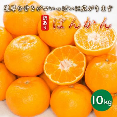 ふるさと納税 愛南町 [先行受付] 訳あり 減農薬 ポンカン 10kg 2027年1月中旬〜 愛媛県 愛南町 愛南フルーツ