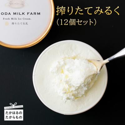 ふるさと納税 高原町 高原アイスクリーム研究所『搾りたてみるく』(12個セット)