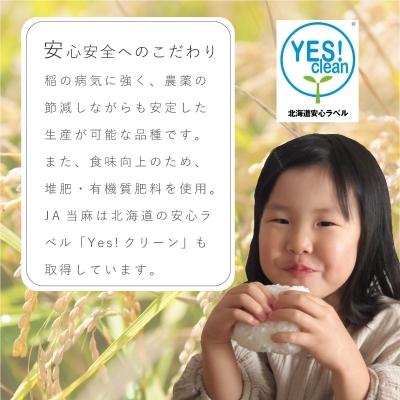 ふるさと納税 当麻町 定期便 無洗米 11kg 5回 籾貯蔵今摺米きたくりん 【A-008】|y-sf|04