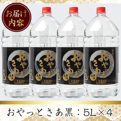 ふるさと納税 曽於市 本格芋焼酎『おやっとさあ黒』20Lセット : さと