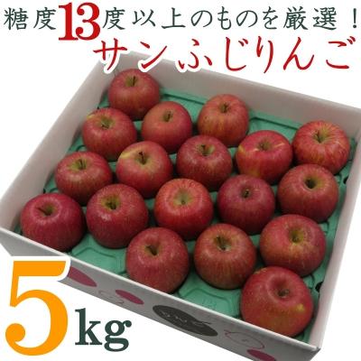 ふるさと納税 長井市 糖度13度以上厳選 サンふじりんご5kg_H127 最高品質の 贈り物 R4