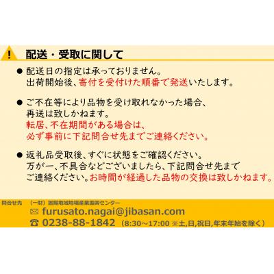 ふるさと納税 長井市 【2024年11月〜12月発送】訳ありリンゴ(サンふじ)10kg(1箱2段詰)_H128(R6)｜y-sf｜04