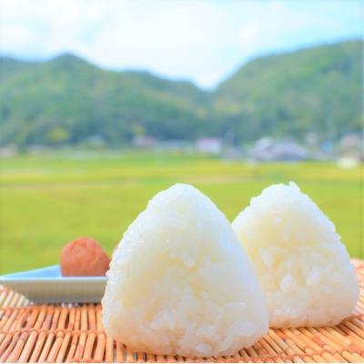 21年レディースファッション福袋 三田市 ふるさと納税 コシヒカリ 三田市波豆川産コシヒカリ 軍ちゃんのお米 5kg 2 三田市 ふるさと納税 米 雑穀 粉類