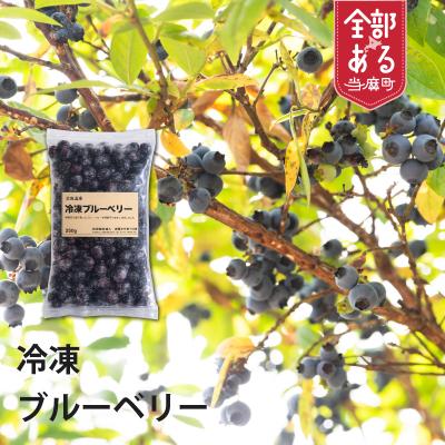 ふるさと納税 当麻町 冷凍ブルーベリー(250g×4袋)