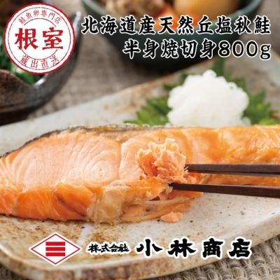 【60％OFF】 T-ポイント5倍 ふるさと納税 根室市 秋鮭焼き姿半身800g A-16038 xn--80ajoghfjyj0a.xn--p1ai xn--80ajoghfjyj0a.xn--p1ai