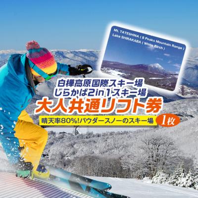 ふるさと納税 販売 立科町 白樺高原国際スキー場・しらかば2in1スキー