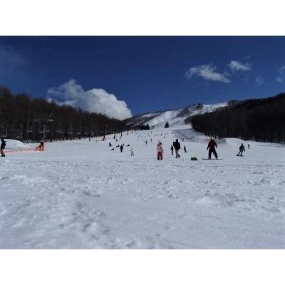 ふるさと納税 立科町 白樺高原国際スキー場・しらかば2in1スキー場大人