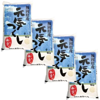 ふるさと納税 福智町 令和7年産 無洗米 元気つくし20kgの画像