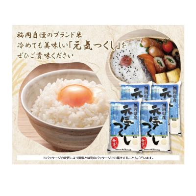 ふるさと納税 福智町 令和7年産 無洗米 元気つくし20kgの画像