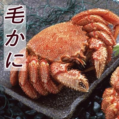本店は ふるさと納税 根室市 北海道根室産 毛かに400 550g前後 1尾 B 国際ブランド Www Aqtsolutions Com