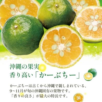 ふるさと納税 中城村 【季節限定】オリオン　香りのサザンスター(350ml×24本)｜y-sf｜03