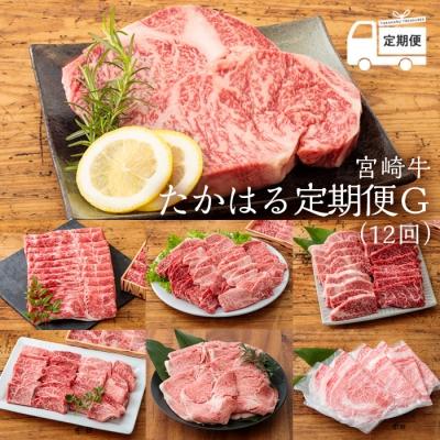 ふるさと納税 高原町 『定期便』宮崎牛たかはる定期便G(12回)