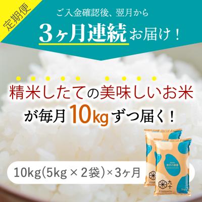 ふるさと納税 五所川原市 【定期便 3ヶ月】 令和7年産米 米 青天の霹靂 10kg 青森県産 10kg×3回 定期便3回_1