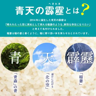 ふるさと納税 五所川原市 【定期便 3ヶ月】 令和7年産米 米 青天の霹靂 10kg 青森県産 10kg×3回 定期便3回_3