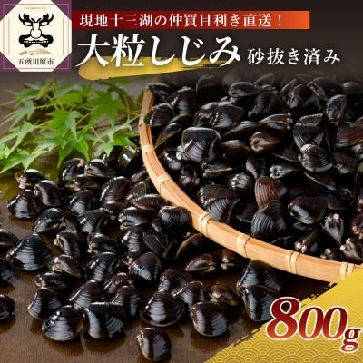 ふるさと納税 五所川原市 津軽十三湖産 大粒しじみ800g(冷凍・砂抜き済)