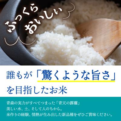 ふるさと納税 五所川原市 【令和7年産米】米 青天の霹靂 10kg 青森県産 【特A 8年連続取得 】(精米・5kg×2袋)