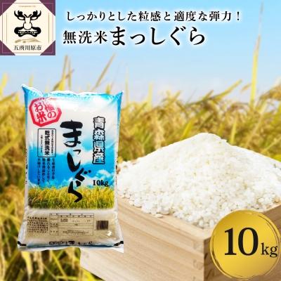 ふるさと納税 五所川原市 無洗米 10kg 青森県産 まっしぐら (精米)