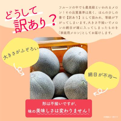 ふるさと納税 五所川原市 【2024年8月中旬発送】【訳あり】メロン7.5kg程度(赤肉・青肉セット)(4〜8玉)青森産｜y-sf｜02