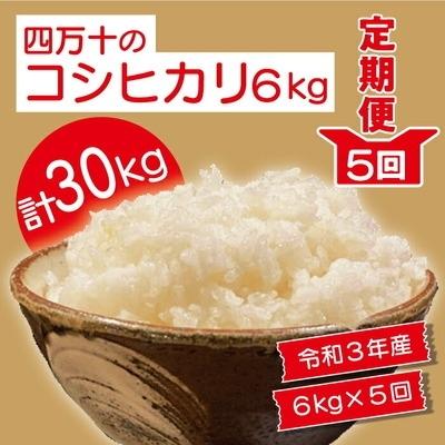 ふるさと割 ふるさと納税 四万十市 令和3年産新米 5回定期便 四万十市産コシヒカリ6kg 5回 計30kg 四万十市 ふるさと納税 コシヒカリ 米 雑穀 粉類