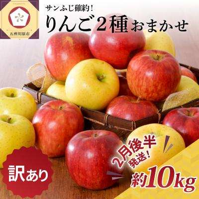 ふるさと納税 五所川原市 [2026年2月後半発送][訳あり] りんご 約10kg サンふじ確約 青森産 品種おまかせ2種以上