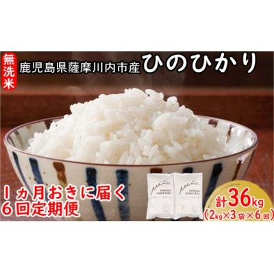 ふるさと納税 薩摩川内市 定期便 1ヵ月おき6回 無洗米 薩摩川内市産ひのひかり 6kg(2kg×3) GS-602