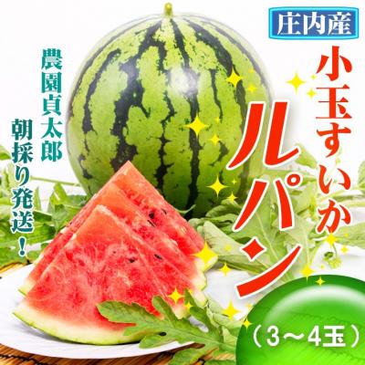 ふるさと納税 庄内町 [R8.7月下旬より順次発送]農園貞太郎小玉スイカ ルパン 3〜4玉(入金期限:2026.7.10)