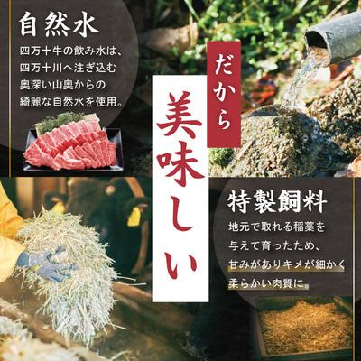 ふるさと納税 四万十市 【5回定期便】四万十牛　四万十産黒毛和牛を堪能　プレミアム定期便｜y-sf｜03