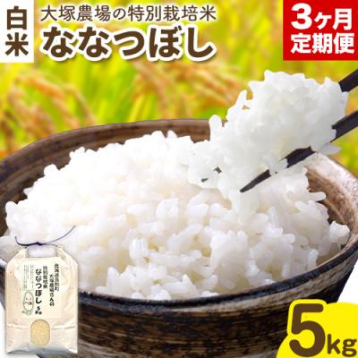 ふるさと納税 当別町 特別栽培米ななつぼし 白米5kg 3ヶ月定期便