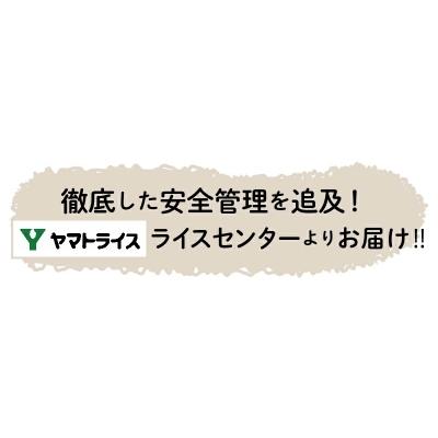 ふるさと納税 碧南市 愛知県産コシヒカリ 5kg　※定期便12回　　H074-554｜y-sf｜02